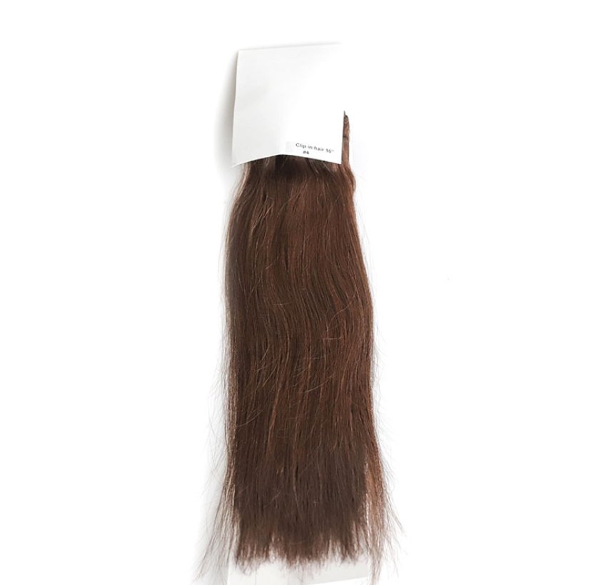 Hair Extension b